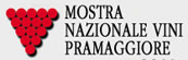 mostra nazionale vini
